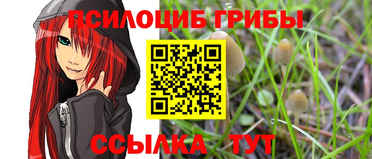 Миллерово  Галлюциногенные грибы ЛСД  Галлюциногенные грибы Psilocybine cubensis  Вход с VPN 